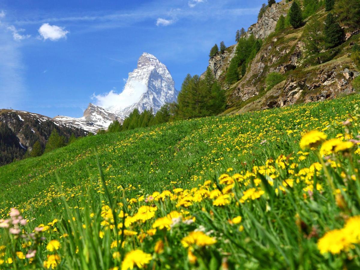 Apartment Breithorn By Interhome Zermatt Kültér fotó